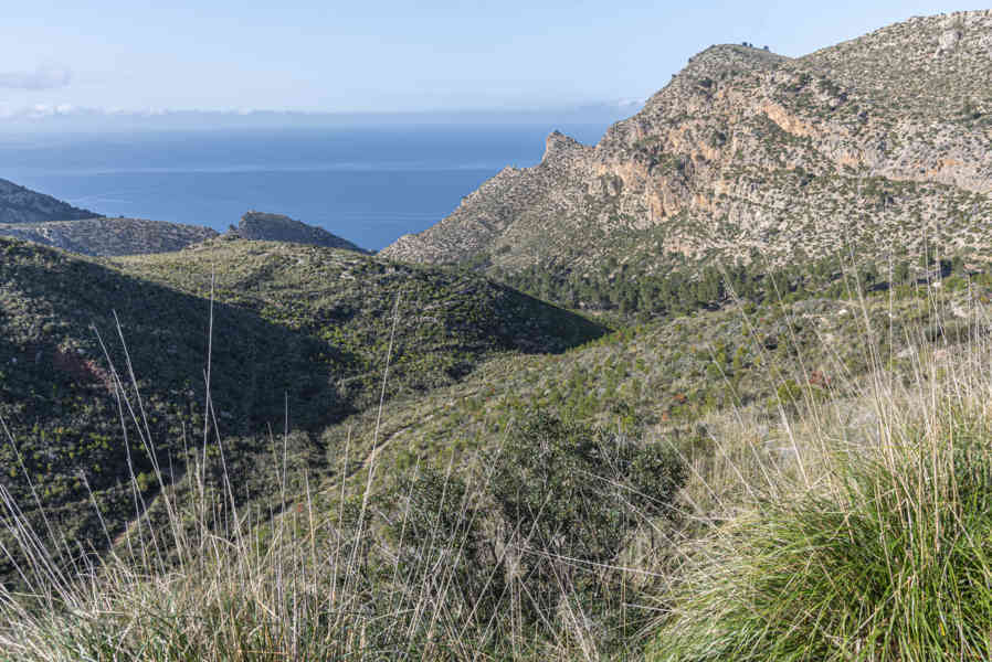 Mallorca - Serra de Tramontana 06.jpg
